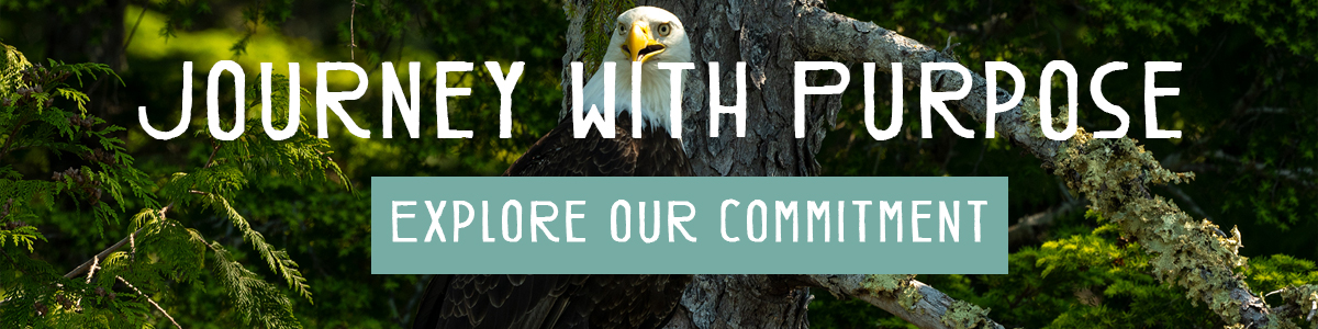 journey with purpose